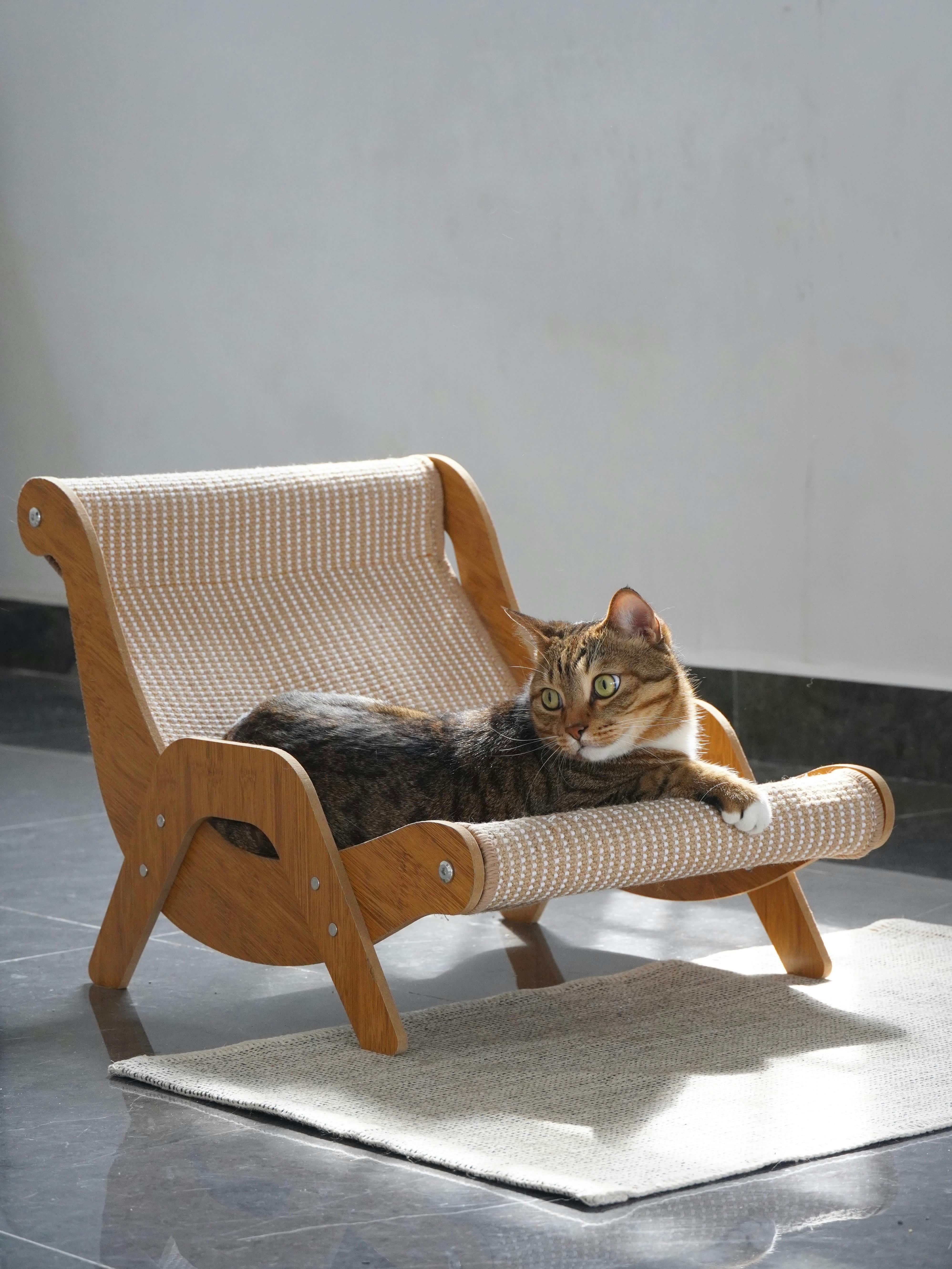 Kattutrustning och tillbehör